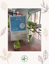 [Giới thiệu sách] NGƯỜI NHẠY CẢM TRONG THẾ GIỚI VÔ CẢM