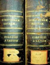 MEMORIALE PRAEDICATORUM SIVE SYNOPSIS BIBLICA, THEOLOGICA, MORALIS, HISTORICA ET ORATORIA