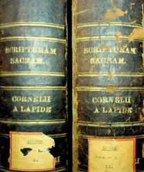 MEMORIALE PRAEDICATORUM SIVE SYNOPSIS BIBLICA, THEOLOGICA, MORALIS, HISTORICA ET ORATORIA