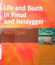 LIFE AND DEATH IN FREUD AND HEIDEGGER (CONTEMPORARY PSYCHOANALYTIC STUDIES 6) (CONTEMPORARY PSYCHOANALYTIC STUDIES)