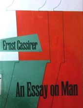 AN ESSAY ON MAN