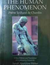 THE HUMAN PHENOMENON