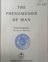 THE PHENOMENON OF MAN