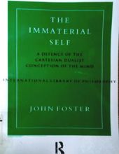 THE IMMATERIAL SELF