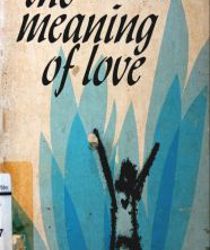 THE MEANING OF LOVE