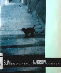 A SLIM BOOK ABOUT NARROW CONTENT