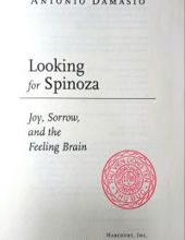 LOOKING FOR SPINOZA