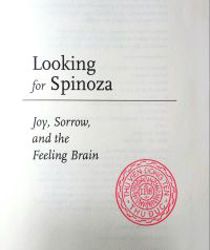 LOOKING FOR SPINOZA