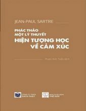 PHÁC THẢO MỘT LÝ THUYẾT HIỆN TƯỢNG HỌC VỀ CẢM XÚC