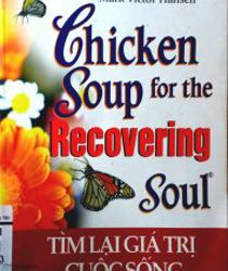 CHICKEN SOUP FOR THE GRIEVING SOUL