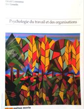 PSYCHOLOGIE DU TRAVAIL ET DES ORGANISATIONS