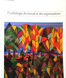 PSYCHOLOGIE DU TRAVAIL ET DES ORGANISATIONS