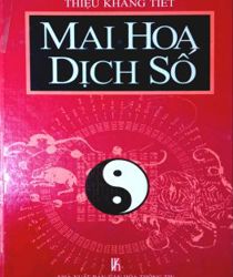 MAI HOA DỊCH SỐ