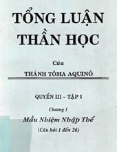 TỔNG LUẬN THẦN HỌC: MẦU NHIỆM NHẬP THỂ - TỪ CÂU HỎI 1-26