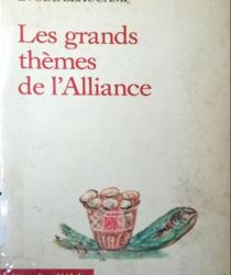 LES GRANDS THÈMES DE L'alliance