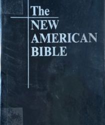 THE NEW AMERICAN BIBLE 