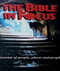 THE BIBLE IN FOCUS