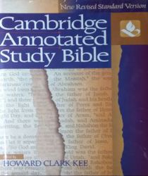 THE CAMBRIDGE COMPANION TO THE BIBLE