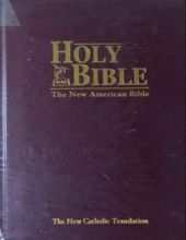 HOLY BIBLE