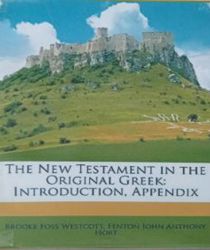 THE NEW TESTAMENT IN THE ORGINAL GREEK