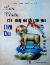 CON CHIÊN CỦA THIÊN CHÚA ĐẤNG XÓA TỘI TRẦN GIAN