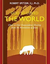 GOD SO LOVED THE WORLD, VOL. III (HAPPINESS, SUFFERING, AND TRANSCENDENCE)