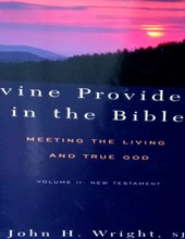 DIVINE PROVIDENCE IN THE BIBLE MEETING THE LIVING AND TRUE GOD