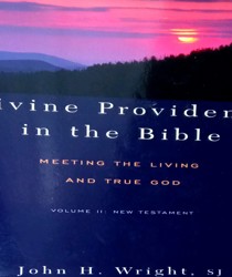 DIVINE PROVIDENCE IN THE BIBLE MEETING THE LIVING AND TRUE GOD