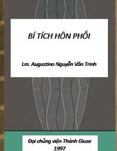 BÍ TÍCH HÔN PHỐI