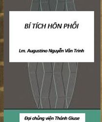 BÍ TÍCH HÔN PHỐI