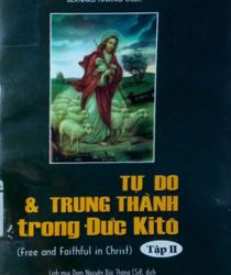 TỰ DO VÀ TRUNG THÀNH TRONG ĐỨC KITÔ. TẬP II