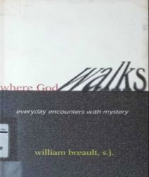WHERE GOD WALKS: EVERYDAY ENCOUNTERS WITH MYSTERY