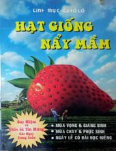 HẠT GIỐNG NẢY MẦM