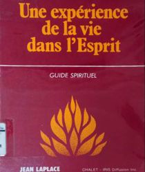 UNE EXPÉRIENCE DE LA VIE DANS L'esprit