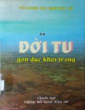 ĐỜI TU: GẠN ĐỤC KHƠI TRONG