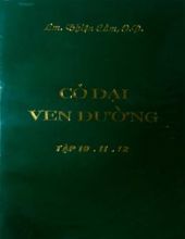 CỎ DẠI VEN ĐƯỜNG