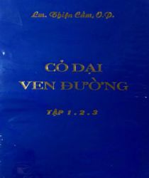 CỎ DẠI VEN ĐƯỜNG