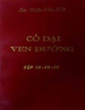 CỎ DẠI VEN ĐƯỜNG