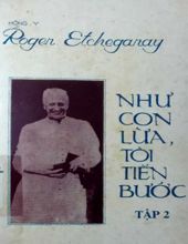 NHƯ CON LỪA, TÔI TIẾN BƯỚC