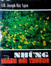 NHỮNG MẢNH ĐỜI THƯỜNG