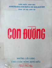 CON ĐƯỜNG