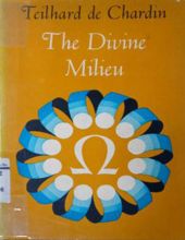 THE DIVINE MILIEU