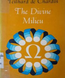 THE DIVINE MILIEU