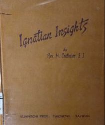 IGNATIAN INSIGHTS