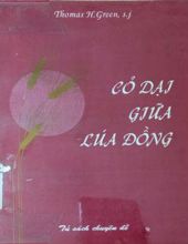 CỎ DẠI GIỮA LÚA ĐỒNG