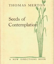 SEEDS OF CONTEMPLATION
