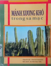 MẢNH XƯƠNG KHÔ TRONG SA MẠC