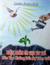 BIỆN PHÂN ƠN GỌI TU TRÌ