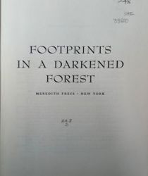 FOOTPRINTS IN A DARKENED FOREST