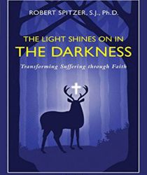 THE LIGHT SHINES ON IN THE DARKNESS, VOLUME IV (HAPPINESS, SUFFERING, AND TRANSCENDENCE) 